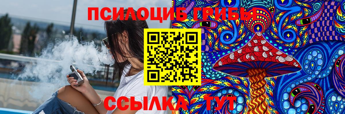 Галлюциногенные грибы Psilocybine cubensis  Вход с VPN  Тамбов 